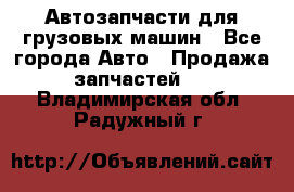 Автозапчасти для грузовых машин - Все города Авто » Продажа запчастей   . Владимирская обл.,Радужный г.
